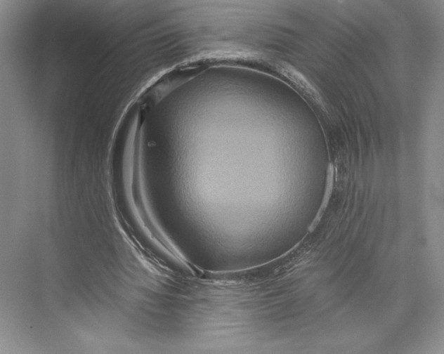 X0000072520436200608111724