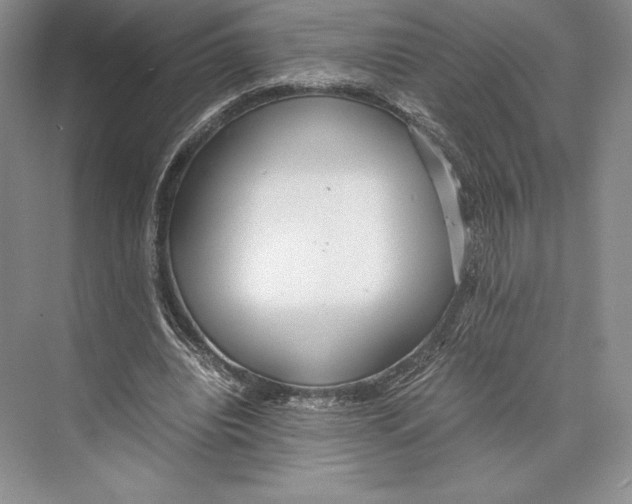 X0000072520440200608111724