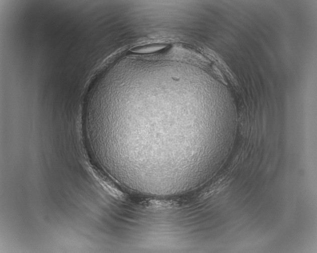 X0000072520442200608111724