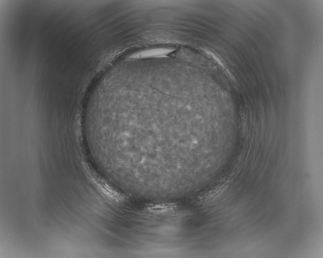 X0000072520447200608111724