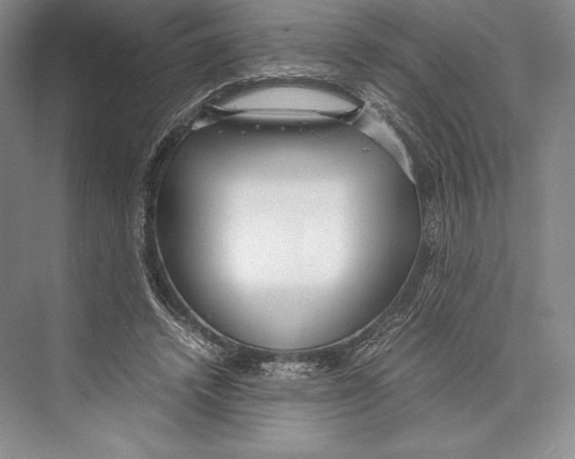 X0000072520448200608111724
