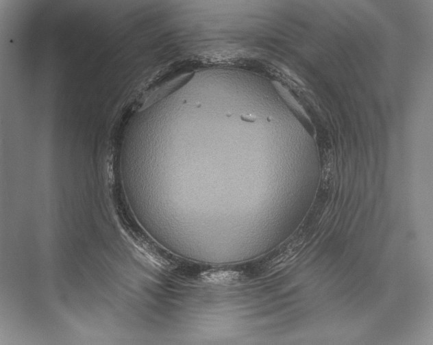 X0000072520452200608111724