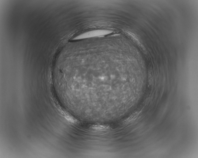 X0000072520453200608111724