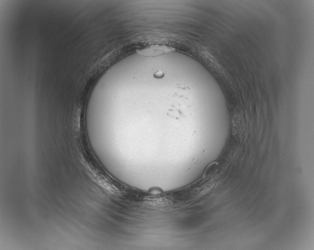 X0000072520454200608111724