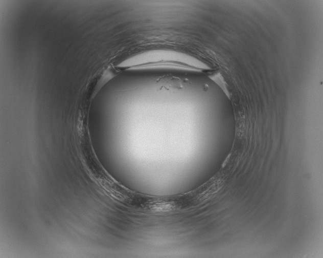 X0000072520456200608111724