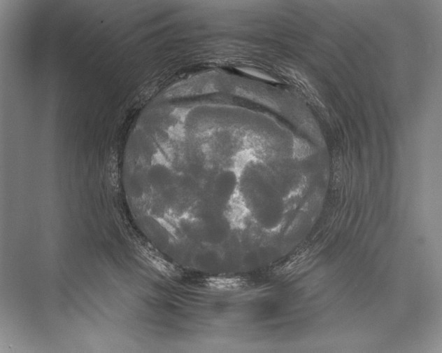 X0000072520457200608111724