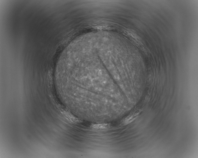 X0000072520461200608111725