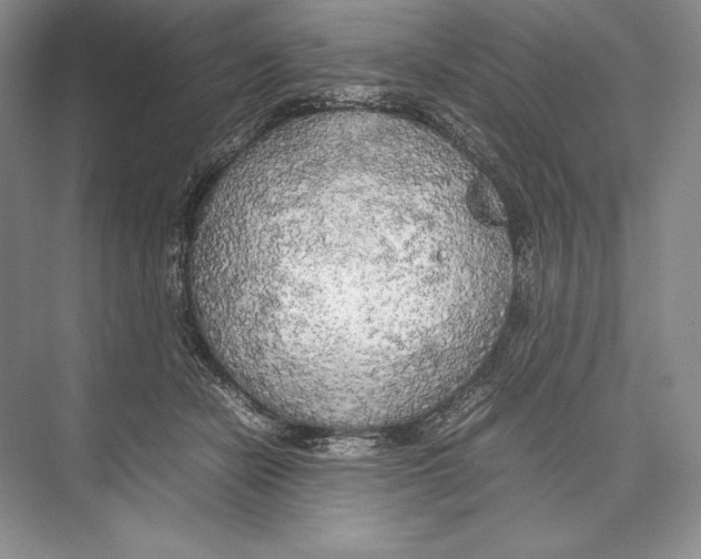 X0000072520462200608111725