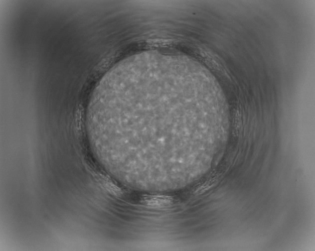 X0000072520463200608111725