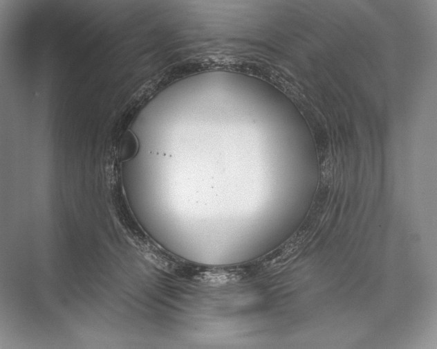 X0000072520464200608111725