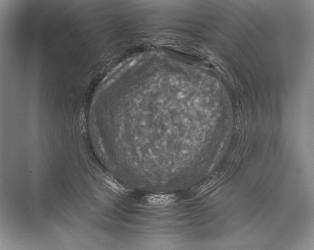 X0000072520465200608111725