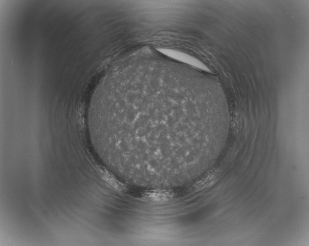 X0000072520466200608111725