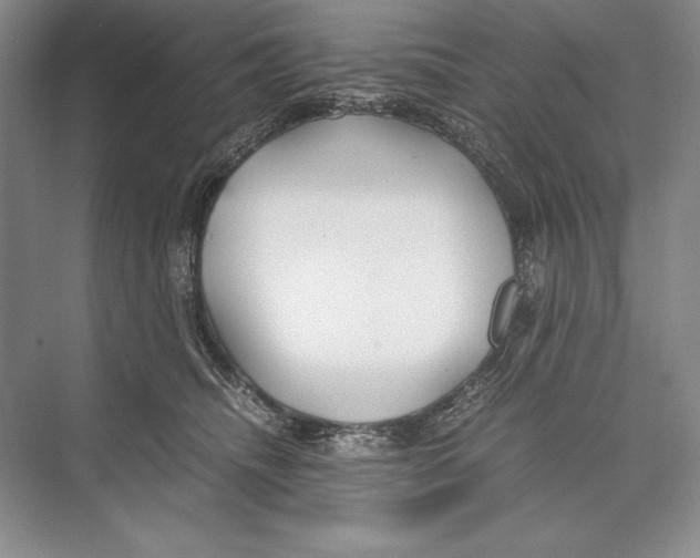 X0000072520468200608111725