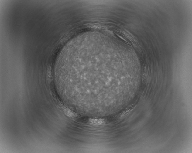 X0000072520469200608111725