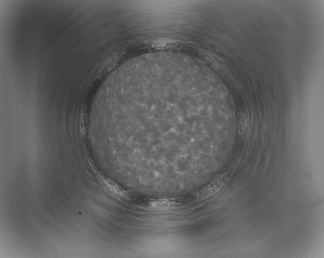 X0000072520470200608111725