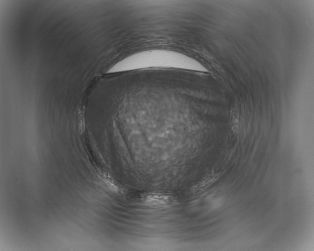 X0000072520471200608111725