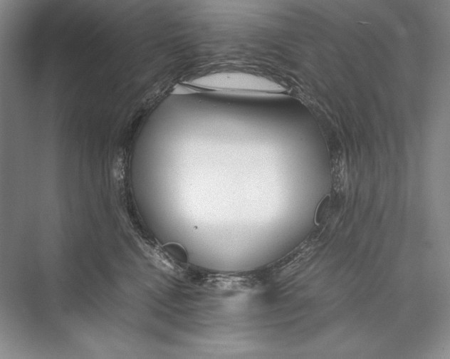 X0000072520472200608111725