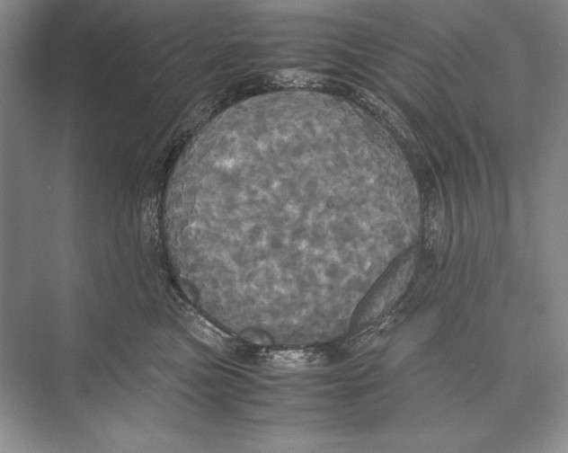 X0000072520473200608111725