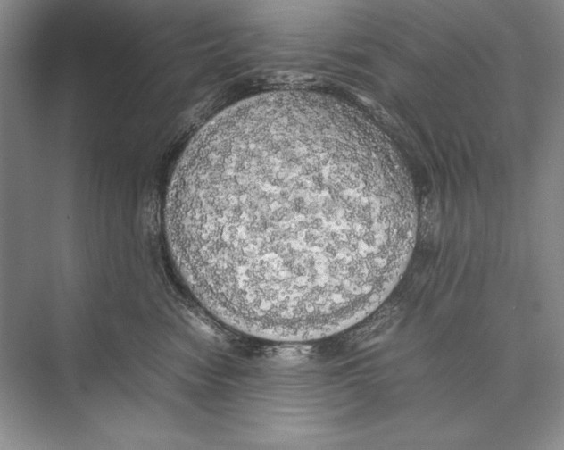 X0000072520474200608111725