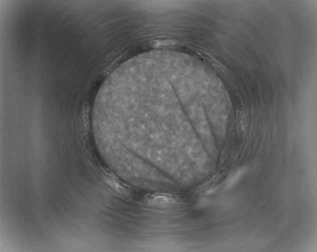 X0000072520475200608111725