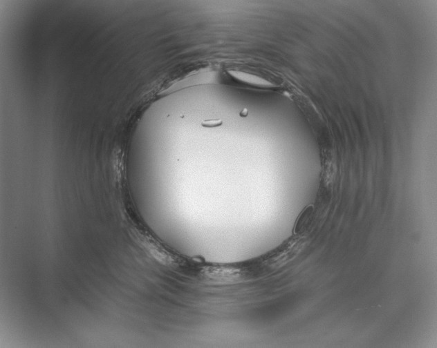 X0000072520476200608111725
