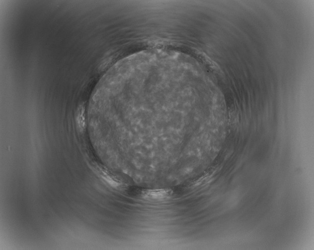 X0000072520479200608111725