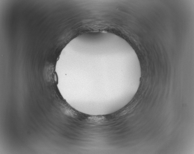 X0000072520480200608111725