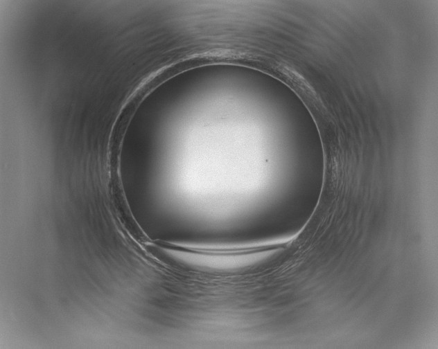 X0000072520484200608111724