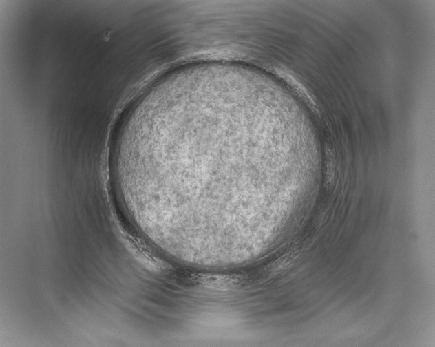 X0000072520486200608111724