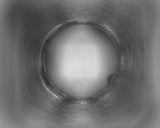 X0000072520492200608111724