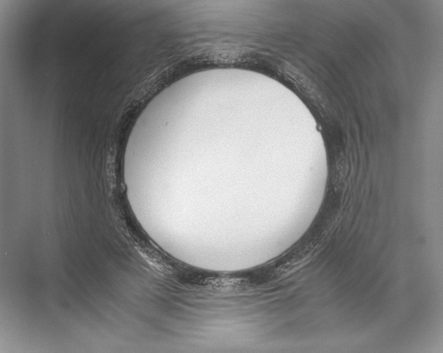 X0000072520497200608111724