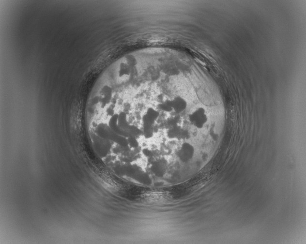 X0000072520499200608111724