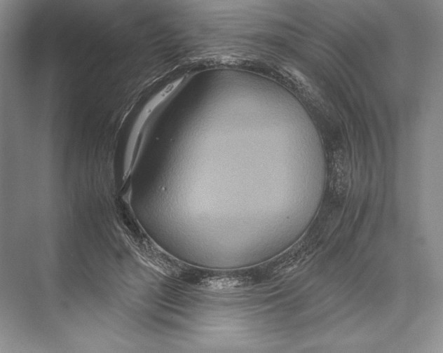 X0000072520500200608111724