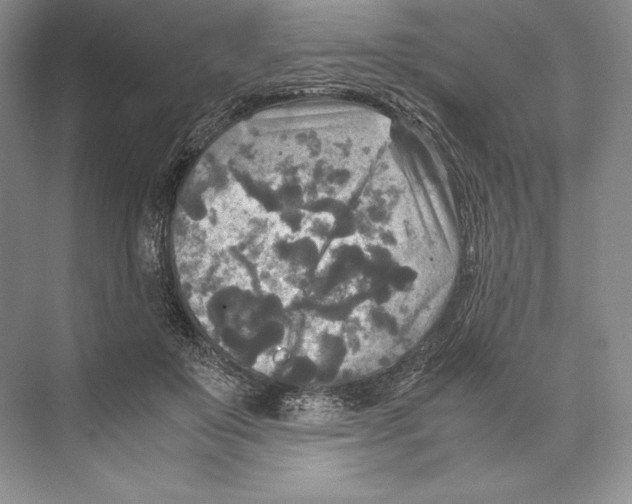 X0000072520503200608111724