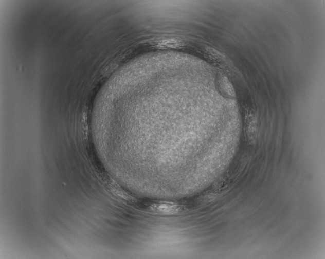 X0000072520506200608111724