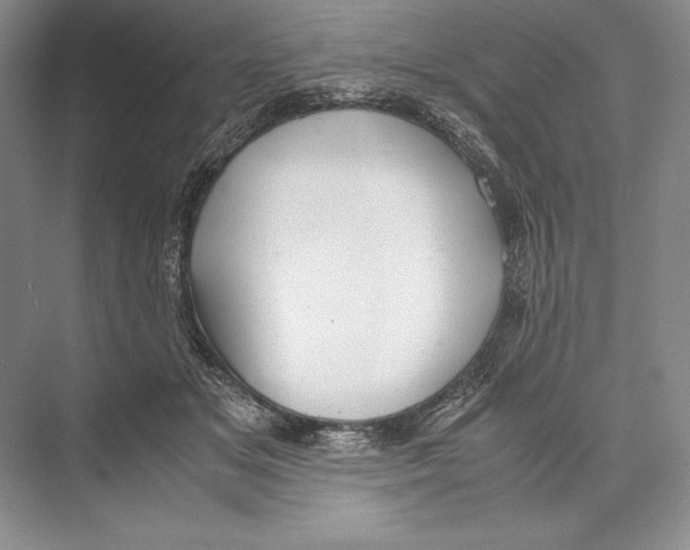 X0000072520509200608111724