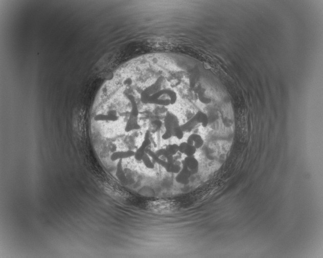 X0000072520511200608111724