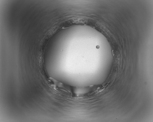 X0000072520513200608111724