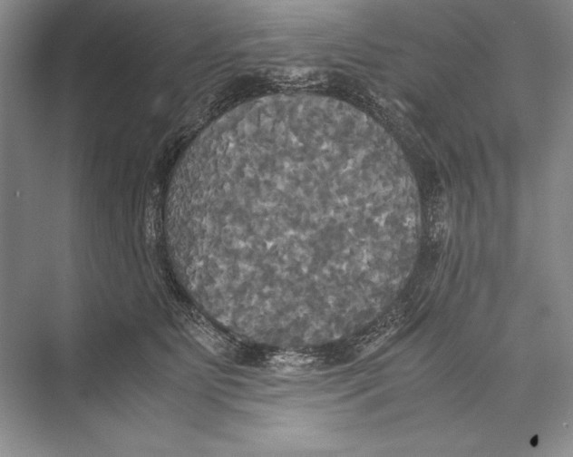 X0000072520515200608111723