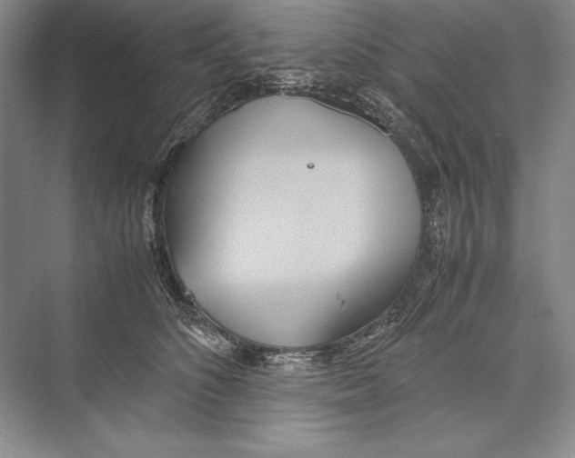 X0000072520516200608111723