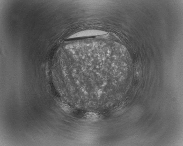 X0000072520519200608111723