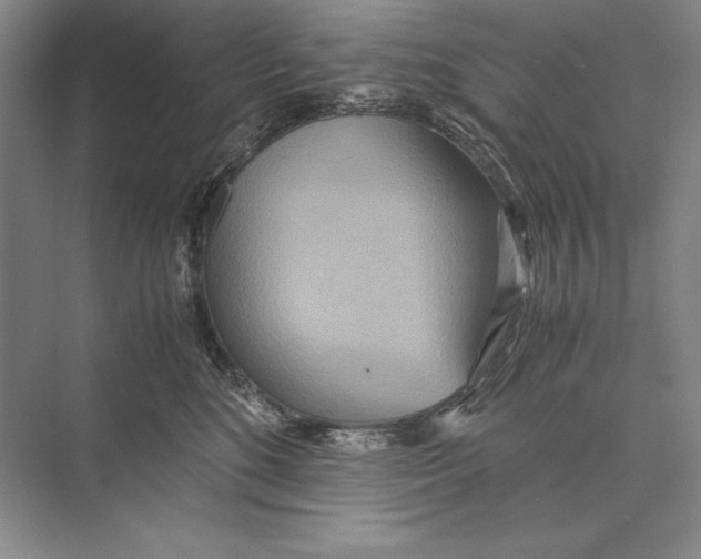 X0000072520520200608111723