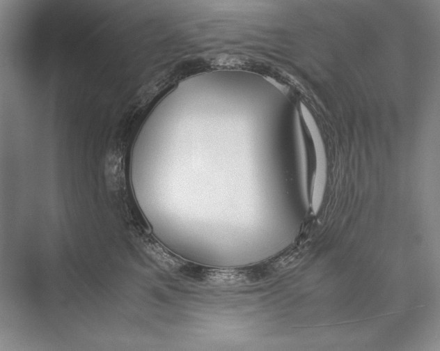 X0000072520521200608111723