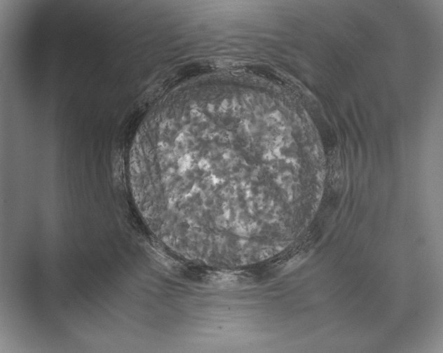 X0000072520523200608111723