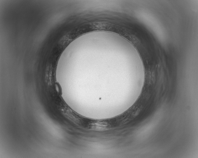 X0000072520525200608111723