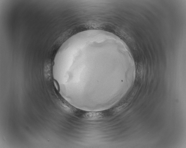 X0000072520526200608111723