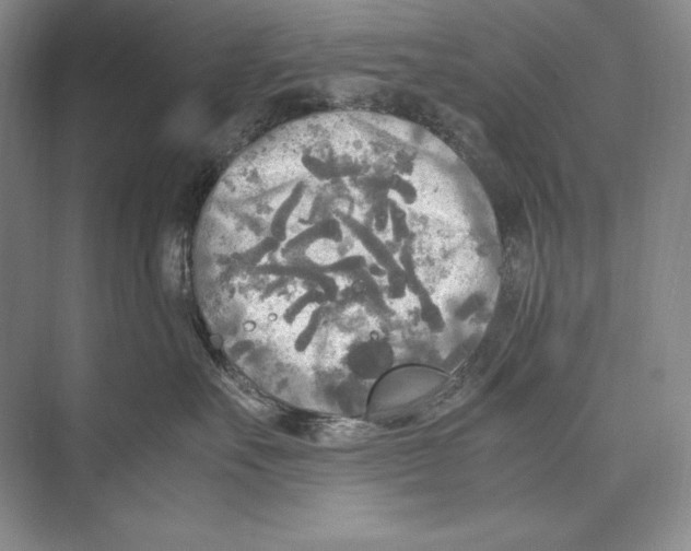 X0000072520527200608111723