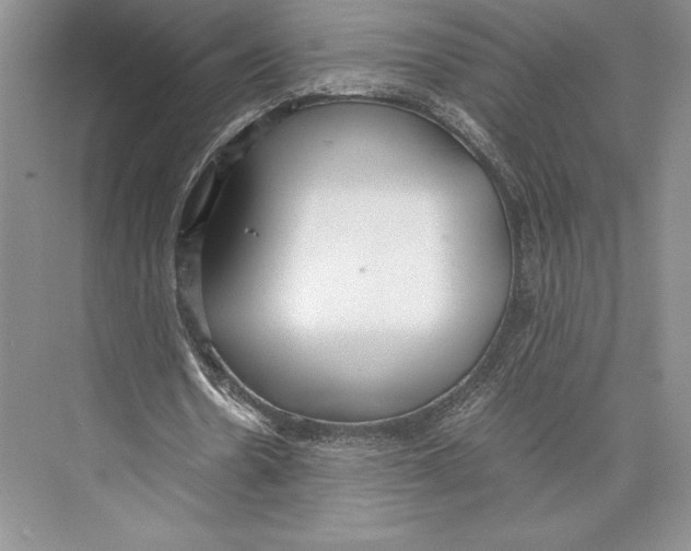 X0000072520530200608111722