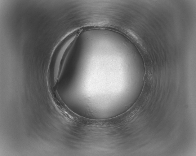 X0000072520532200608111722