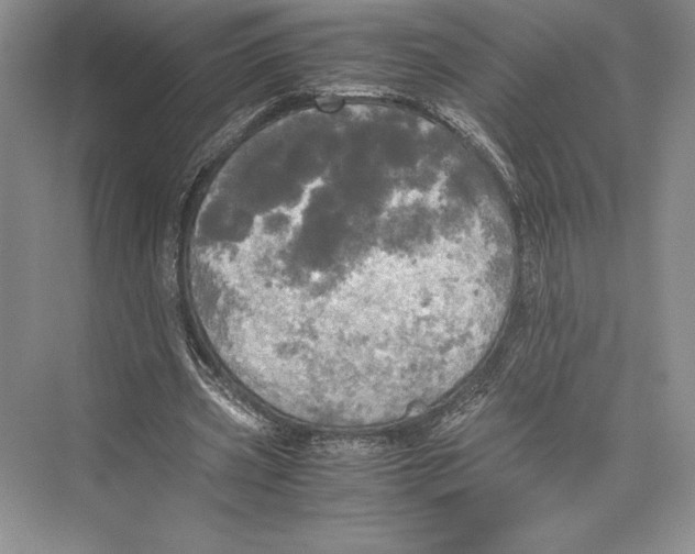 X0000072520533200608111722